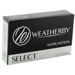 Weatherby Partition 300 Weatherby 11,7g 180gr